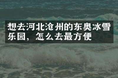 想去河北沧州的东奥冰雪乐园，怎么去最方便
