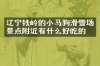 辽宁铁岭的小马驹滑雪场景点附近有什么好吃的