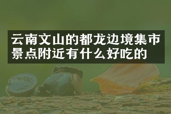 云南文山的都龙边境集市景点附近有什么好吃的