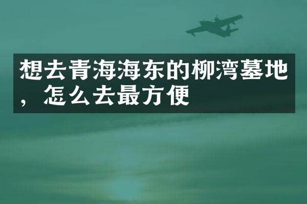 想去青海海东的柳湾墓地，怎么去最方便