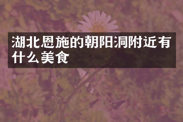 湖北恩施的朝阳洞附近有什么美食