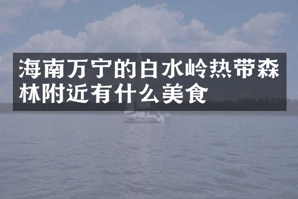 海南万宁的白水岭热带森林附近有什么美食