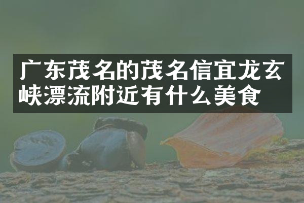 广东茂名的茂名信宜龙玄峡漂流附近有什么美食