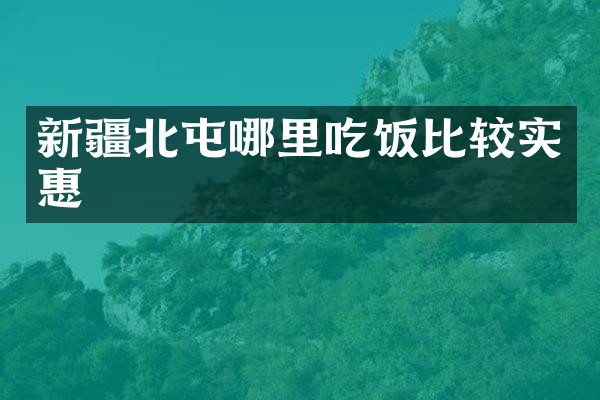 新疆北屯哪里吃饭比较实惠