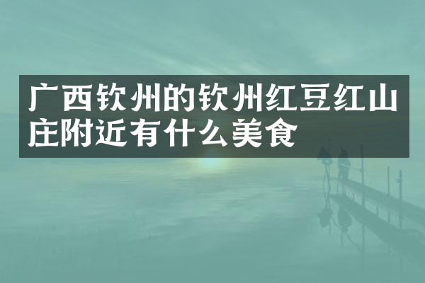广西钦州的钦州红豆红山庄附近有什么美食