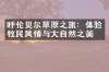 呼伦贝尔草原之旅：体验牧民风情与大自然之美