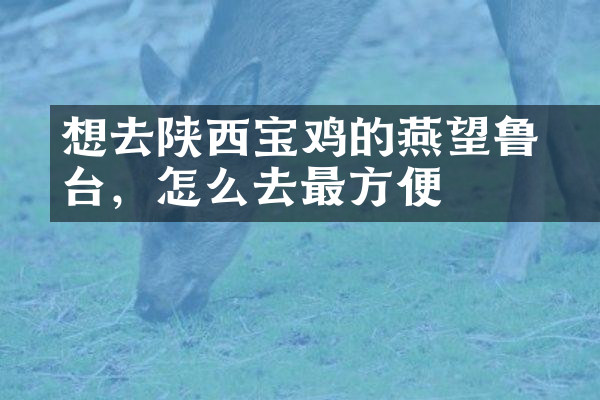 想去陕西宝鸡的燕伋望鲁台，怎么去最方便