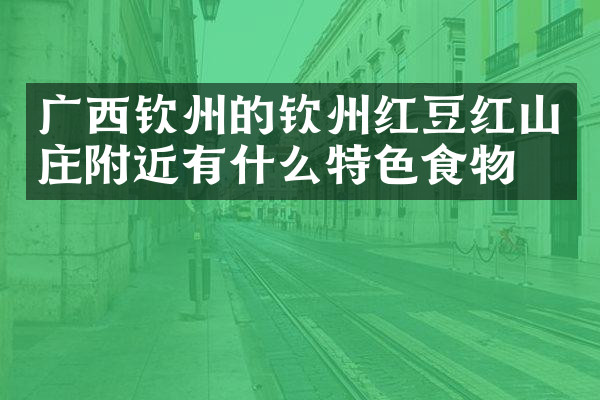 广西钦州的钦州红豆红山庄附近有什么特色食物吗