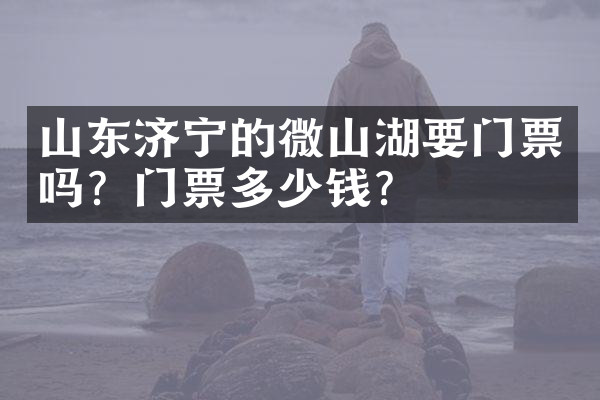 山东济宁的微山湖要门票吗？门票多少钱？