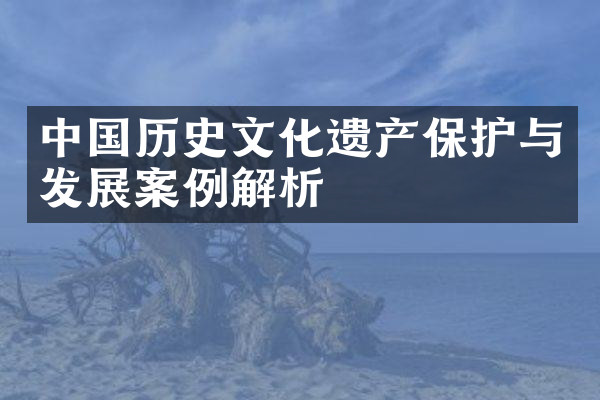 中国历史文化遗产保护与发展案例解析
