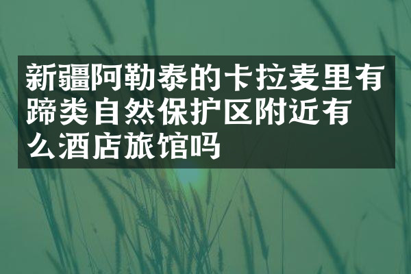 新疆阿勒泰的卡拉麦里有蹄类自然保护区附近有什么酒店旅馆吗