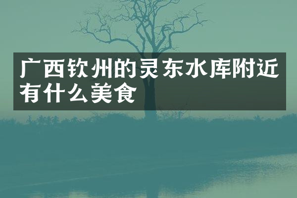 广西钦州的灵东水库附近有什么美食