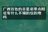 广西百色的吉星岩景点附近有什么不错的住的地方吗