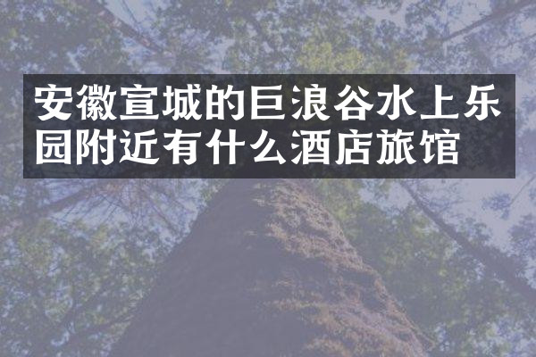 安徽宣城的巨浪谷水上乐园附近有什么酒店旅馆吗