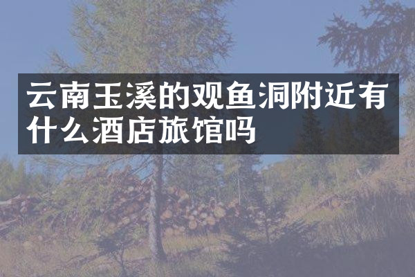 云南玉溪的观鱼洞附近有什么酒店旅馆吗