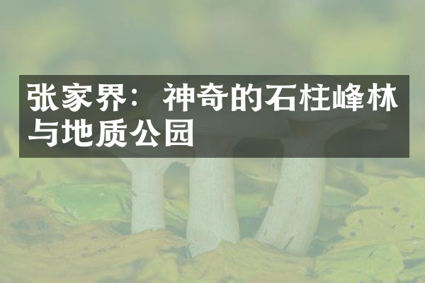 张家界：神奇的石柱峰林与地质公园
