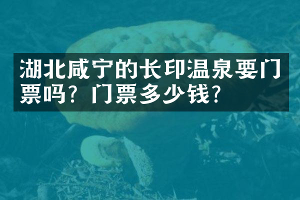 湖北咸宁的长印温泉要门票吗？门票多少钱？