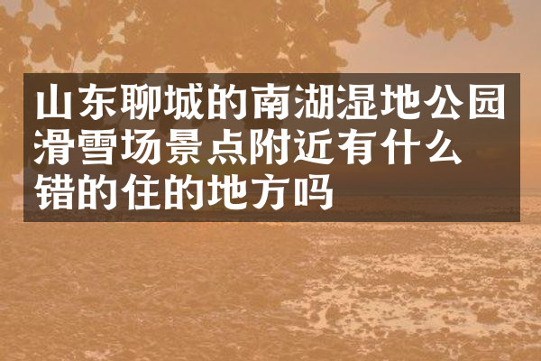 山东聊城的南湖湿地公园滑雪场景点附近有什么不错的住的地方吗