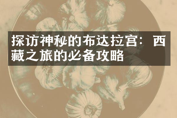 探访神秘的布达拉宫：西藏之旅的必备攻略