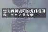 想去四川资阳的龙门报国寺，怎么去最方便