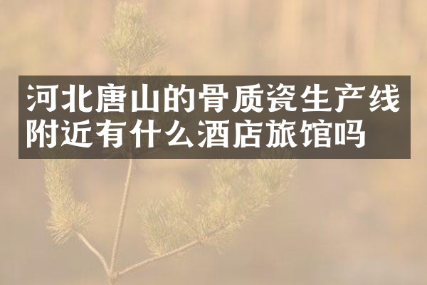 河北唐山的骨质瓷生产线附近有什么酒店旅馆吗
