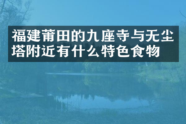 福建莆田的九座寺与无尘塔附近有什么特色食物吗