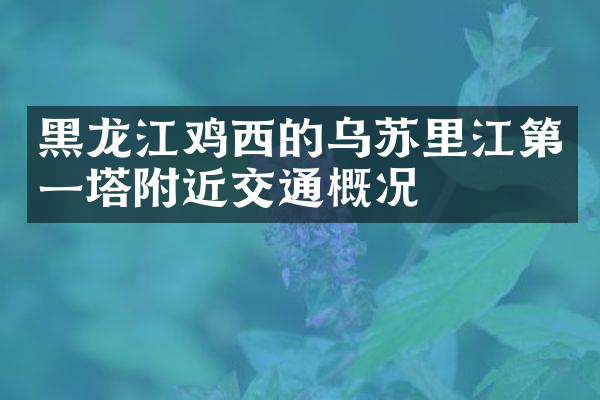 黑龙江鸡西的乌苏里江第一塔附近交通概况