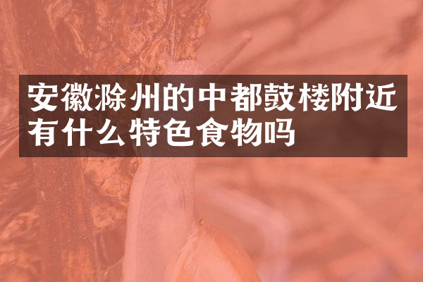 安徽滁州的中都鼓楼附近有什么特色食物吗