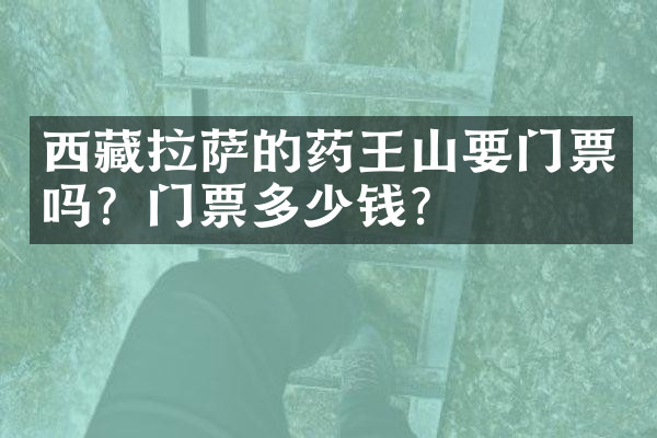 西藏拉萨的药王山要门票吗？门票多少钱？