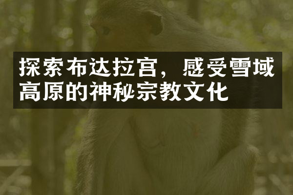 探索布达拉宫，感受雪域高原的神秘宗教文化