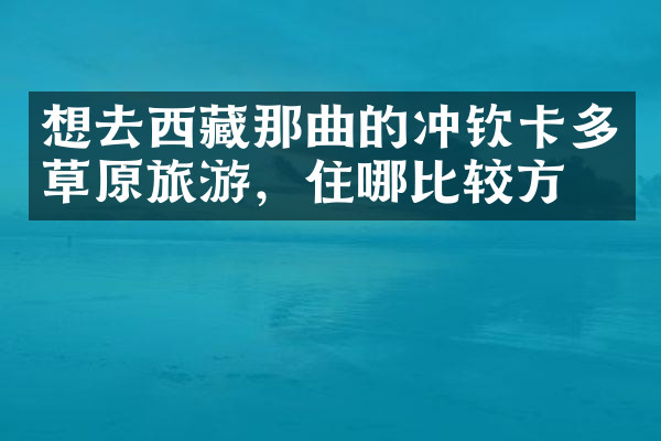 想去西藏那曲的冲钦卡多草原旅游，住哪比较方便