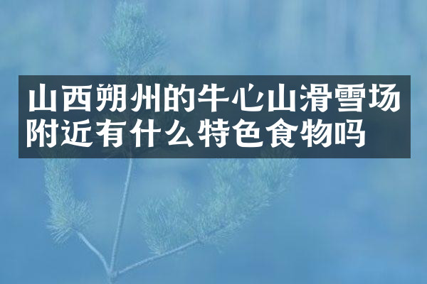 山西朔州的牛心山滑雪场附近有什么特色食物吗
