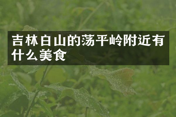 吉林白山的荡平岭附近有什么美食