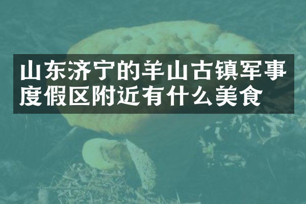 山东济宁的羊山古镇军事度假区附近有什么美食