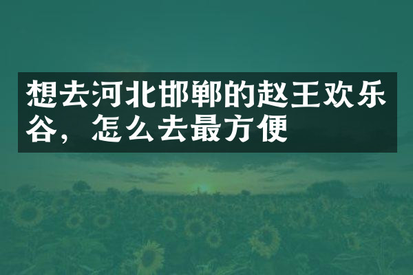 想去河北邯郸的赵王欢乐谷，怎么去最方便