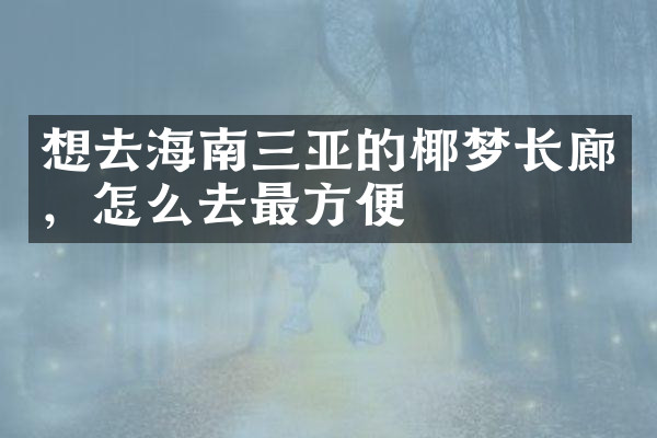 想去海南三亚的椰梦长廊，怎么去最方便