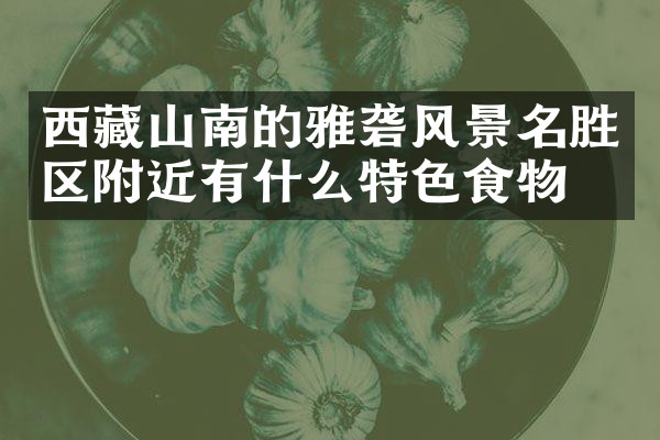 西藏山南的雅砻风景名胜区附近有什么特色食物吗