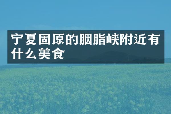 宁夏固原的胭脂峡附近有什么美食