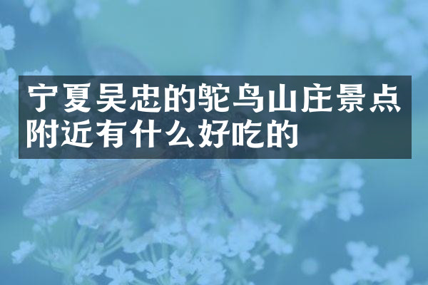 宁夏吴忠的鸵鸟山庄景点附近有什么好吃的
