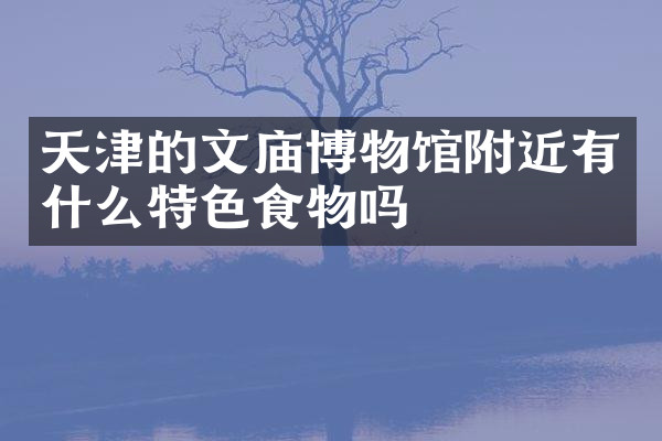 天津的文庙博物馆附近有什么特色食物吗