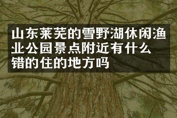 山东莱芜的雪野湖休闲渔业公园景点附近有什么不错的住的地方吗