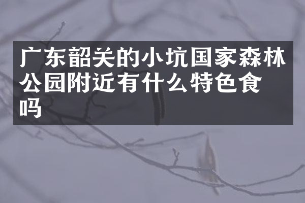 广东韶关的小坑国家森林公园附近有什么特色食物吗