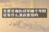 甘肃甘南的将军睡千年附近有什么酒店旅馆吗
