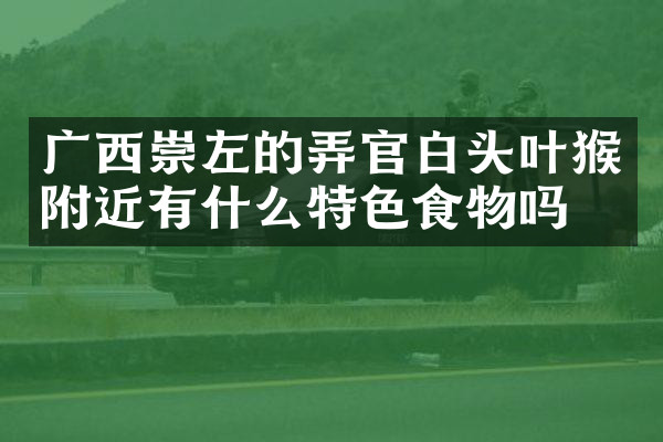 广西崇左的弄官白头叶猴附近有什么特色食物吗