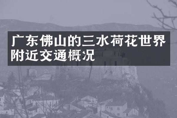 广东佛山的三水荷花世界附近交通概况