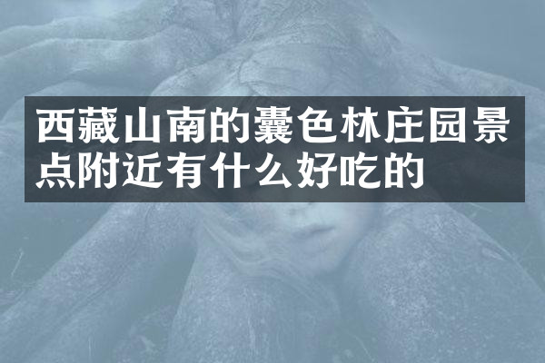 西藏山南的囊色林庄园景点附近有什么好吃的