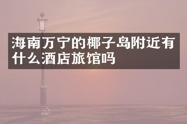海南万宁的椰子岛附近有什么酒店旅馆吗