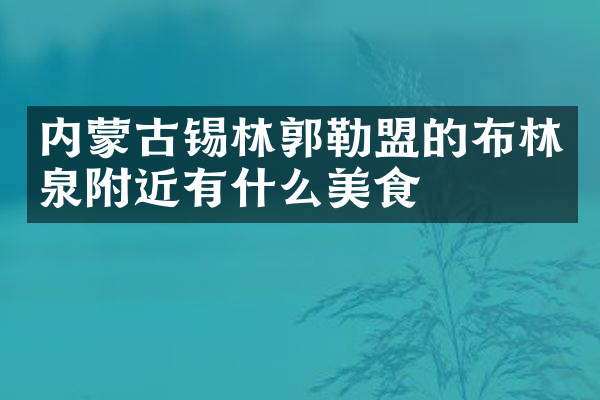 内蒙古锡林郭勒盟的布林泉附近有什么美食