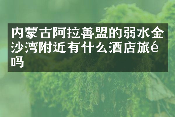 内蒙古阿拉善盟的弱水金沙湾附近有什么酒店旅馆吗