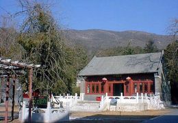 圆正法师塔